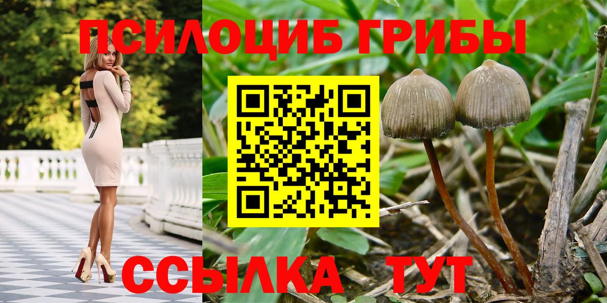 Псилоцибиновые грибы мухоморы Коммунар