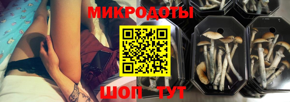 Галлюциногенные грибы прущие грибы  Псилоцибиновые грибы прущие грибы  Коммунар  Вход с VPN 